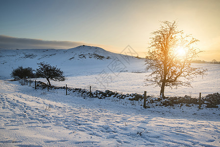 风景日出雪覆盖的田野冬天的景观图片