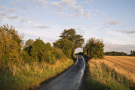 新收获的大麦田乡村景观夏末日落的光图片