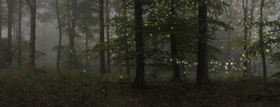 惊人的幻想风格景观形象萤火虫夜间提姆令人惊叹的幻想风格景观形象萤火虫发光夜间森林场景图片