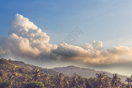 印度尼西亚巴厘岛的热带景观图片