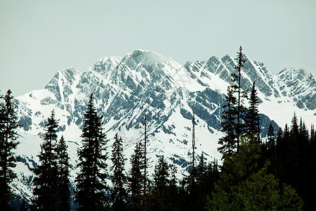 夏季加大落基山脉风景如画的山景图片