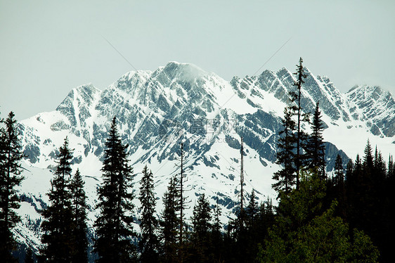 夏季加大落基山脉风景如画的山景图片