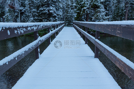 初冬,次雪覆盖岩石森林冰川公园,蒙大,美国图片