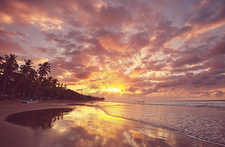 美丽的热带太平洋海岸哥斯达黎加图片