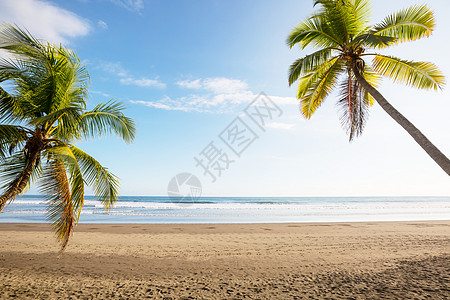 美丽的热带太平洋海岸哥斯达黎加图片