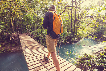 徒步旅行绿色热带丛林图片