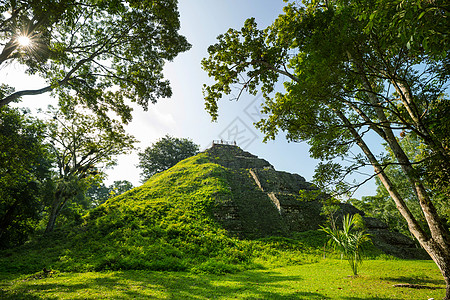 著名的古代玛雅寺庙蒂卡尔公园,危地马拉,洲图片