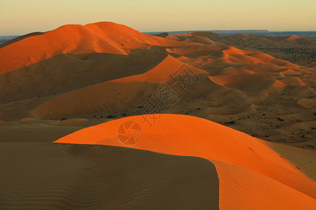 沙漠中风景优美的沙丘图片