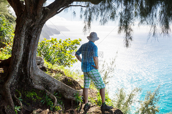 夏威夷徒步旅行徒步旅行者绿色丛林,夏威夷,美国图片