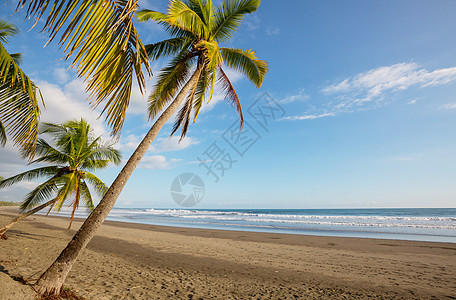 热带海滩热带海滩上的宁静图片