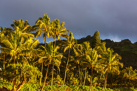 夏威夷夏威夷岛风景如画图片