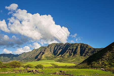 瓦胡岛夏威夷瓦胡岛美丽的风景图片