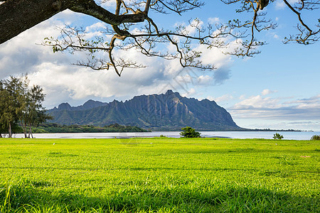 瓦胡岛夏威夷瓦胡岛美丽的风景图片