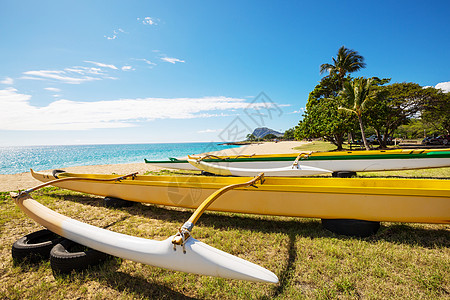夏威夷船只夏威夷海滩上的独木舟图片