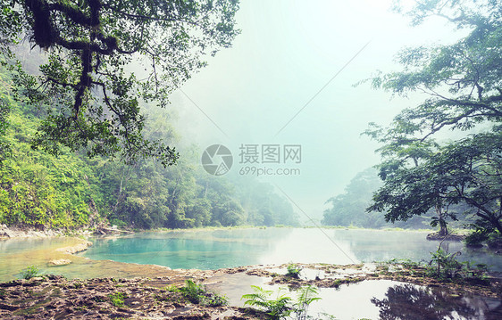 危地马拉的游泳池美丽的天然游泳池SEMUCChampey,兰金,危地马拉,洲图片