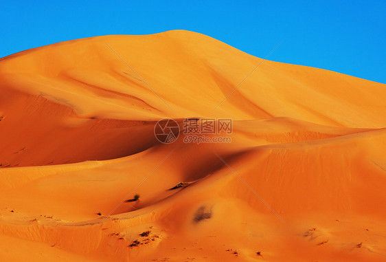 沙漠沙漠中风景优美的沙丘图片