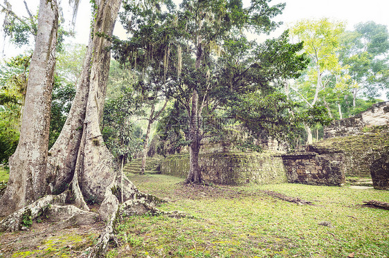 提卡尔著名的古代玛雅寺庙蒂卡尔公园,危地马拉,洲图片