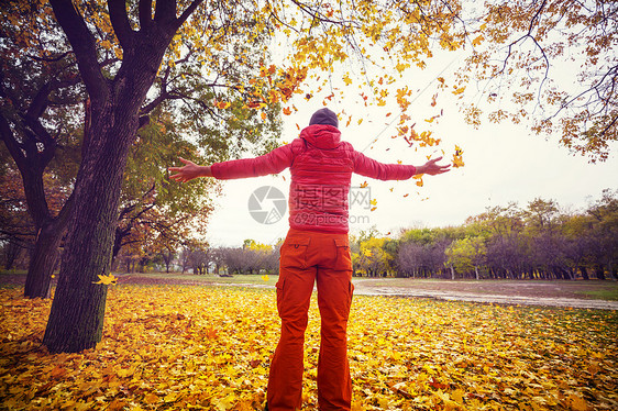 黄调的秋天场景图片