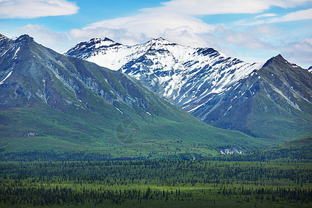 阿拉斯加的山脉夏天阿拉斯加风景如画的山脉积雪覆盖的地块,冰川岩石峰图片