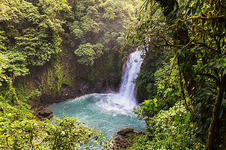 哥斯达黎加的瀑布哥斯达黎加雨林丛林中雄伟的瀑布热带远足图片