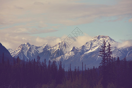 加大的山脉夏季加大落基山脉风景如画的山景图片