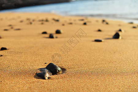 海边沙子上的石头被海浪冲走图片