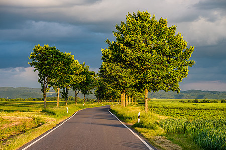 乡村道路的田野温暖的阳光下戏剧的天空,新鲜的充满活力的颜色,莱茵河谷莱茵峡谷德国图片