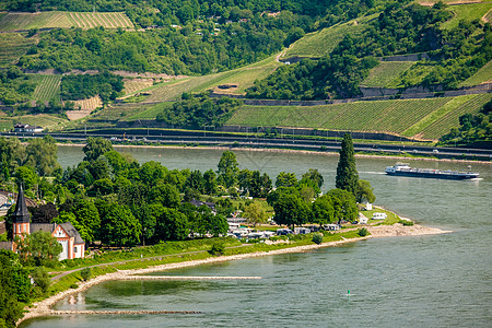 德国莱茵河谷莱茵峡谷的葡萄园图片
