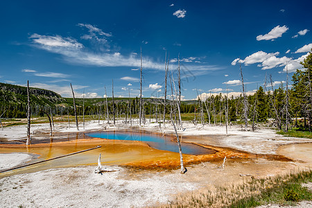 美国怀俄明州黑沙盆地黄石公园温泉璃池图片
