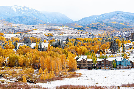 季节变化,雪秋树洛基山,科罗拉多州,美国图片