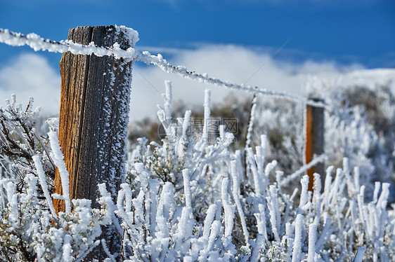 季节变化,景观与霜冻栅栏上图片