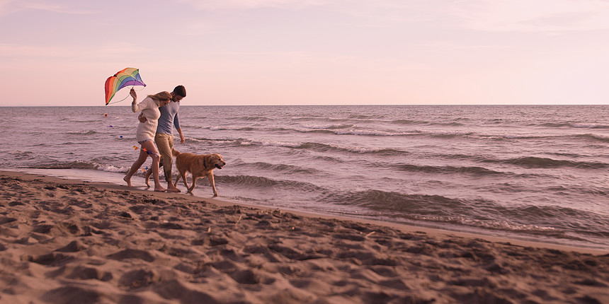 Autmun的天,夫妇海滩上跑步,用狗牵着手图片
