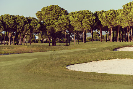 美丽的阳光明媚的日子里,高尔夫球场新鲜的绿草晴天的高尔夫球场图片