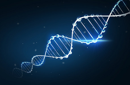 DNA分子化学结构图片
