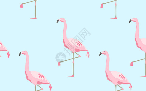 插图,动物鸟类的无缝图案与粉红色火烈鸟蓝色背景蓝色背景上火烈鸟的无缝图案图片