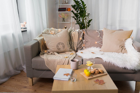 舒适,潮湿,舒适的家庭室内沙发与垫子花环灯客厅沙发垫子舒适的家庭客厅图片