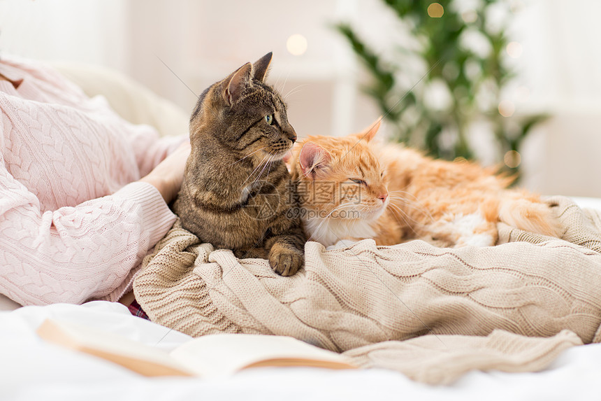 宠物,人的女主与红色塔比猫床上床上用红色Tabby猫主人图片