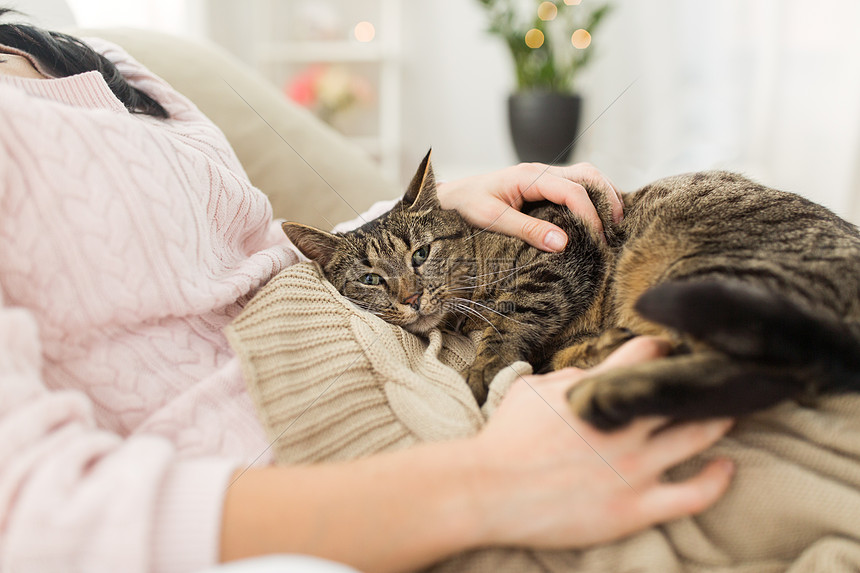 宠物潮格人的女主与塔比猫床上家家里tabby猫床上亲密主人