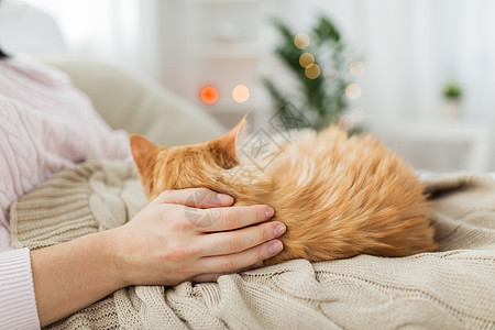 宠物,潮格人的女主与红色塔比猫床上家把主人红猫关家里的床上图片