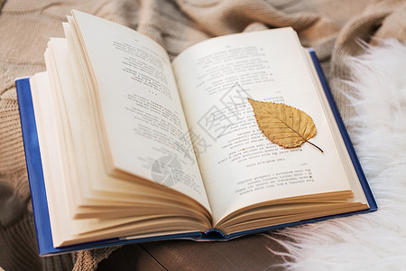 文学,阅读诗歌书与秋叶家里毯子上带秋叶的书家里的毯子上图片