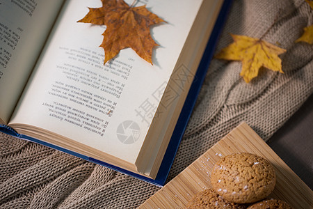 潮湿,文学,阅读诗歌书与秋叶,柠檬燕麦饼干沙发上带秋叶的书家里毯子上的饼干图片