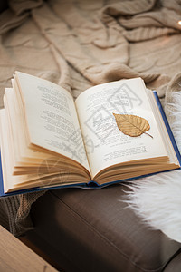 文学,阅读诗歌书与秋叶沙发上家里家里沙发上放着秋叶的书图片
