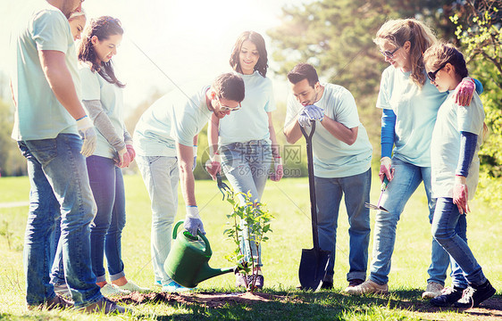 志愿服务慈善人与生态理念群快乐的志愿者公园里种植浇水树群志愿者种植浇水树图片