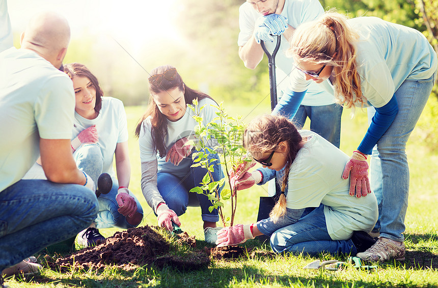 ‘~志愿服务慈善人生态理念群快乐的志愿者公园里种植树群志愿者公园植树  ~’ 的图片