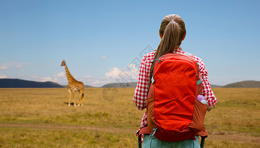 冒险,旅行,旅游,徒步旅行人的轻的女人带着背包长颈鹿非洲草原背景女人背着背包非洲草原上女人背着背包非洲图片