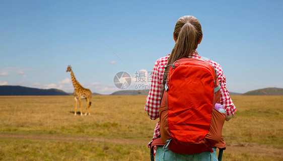 冒险,旅行,旅游,徒步旅行人的轻的女人带着背包长颈鹿非洲草原背景女人背着背包非洲草原上女人背着背包非洲图片