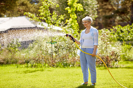 园艺人们的快乐的老年女子夏天用花园软管浇水草坪老妇女花园用软管浇草坪背景图片