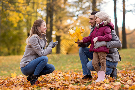 家庭,季节人的快乐的父亲小女儿秋天的公园给母亲枫叶秋天公园枫叶的幸福家庭图片