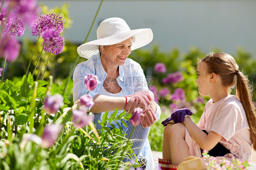 园艺,家庭人的快乐的祖母孙女与花夏季花园夏天花园里的祖母带花的女孩图片