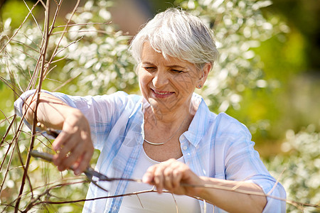园艺人的快乐的老年女子与普纳照顾花夏季花园花园修剪花的高级女人图片